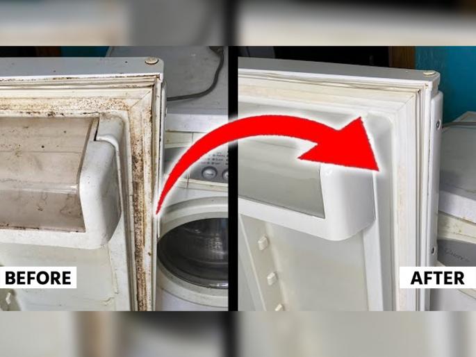 how to clean fungus on the sealing rubber of refrigerator door, cleaning hacks for the sealing rubber of refrigerator door | फ्रिजच्या दरवाज्याच्या रबरवर आली बुरशी? २ सोपे उपाय- १० मिनिटांत काळवंडलेलं रबर होईल स्वच्छ