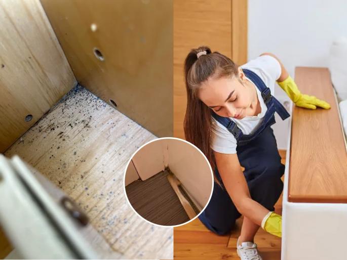 cleaning tips, clean dirt accumulated under the bed, 'this' may cause illnesses, healthcare tips | बेडखाली-कपाटावर-माळ्यावर साचलेली घाण-जाळेजळमटे साफ करण्याची ट्रिक, घरातल्या आजारपणांचं ‘हे’ कारण