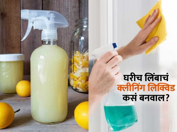 How to make natural cleaning liquid with lemon at home | घरच्या घरी लिंबापासून तयार करा नॅचरल क्लीनिंग लिक्विड, पैसेही वाचतील आणि घरातील वस्तूही चमकतील How to make natural cleaning liquid with lemon at home | घरच्या घरी लिंबापासून तयार करा नॅचरल क्लीनिंग लिक्विड, पैसेही वाचतील आणि घरातील वस्तूही चमकतील