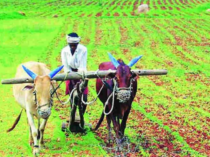 When will reach till pockets of profiteers crop insurance companies? | नफेखोर पीक विमा कंपन्यांच्या खिशात कधी हात घालणार? When will reach till pockets of profiteers crop insurance companies? | नफेखोर पीक विमा कंपन्यांच्या खिशात कधी हात घालणार?