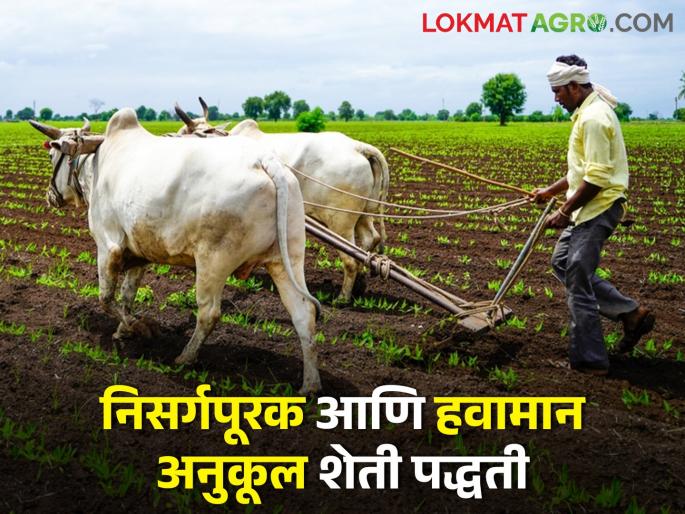 Latest News study of impact of climate change on agricultural area and cropping patterns | हवामान बदलाचा शेती क्षेत्र आणि पीक पद्धतीवर होणाऱ्या परिणामाचा अभ्यास, तीन जिल्ह्यांची निवड 