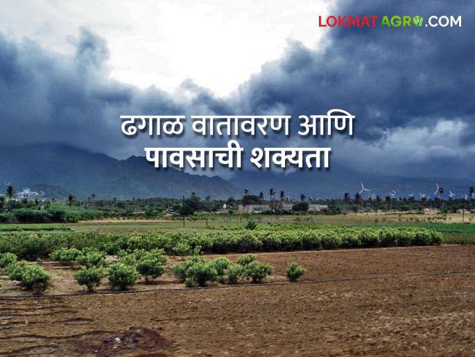 Latest News Chance of rain in Vidarbha for three days see details Forecast | कुठे पाऊस तर कुठे ढगाळ हवामान, काय सांगतोय हवामान अंदाज Latest News Chance of rain in Vidarbha for three days see details Forecast | कुठे पाऊस तर कुठे ढगाळ हवामान, काय सांगतोय हवामान अंदाज