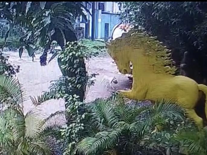 Human skull found in Mahape MIDC, CCTV revealed that it was brought by a dog | महापे एमआयडीसीत आढळली मानवी कवटी, कुत्र्याने आणून टाकल्याचे सीसीटीव्हीत उघड Human skull found in Mahape MIDC, CCTV revealed that it was brought by a dog | महापे एमआयडीसीत आढळली मानवी कवटी, कुत्र्याने आणून टाकल्याचे सीसीटीव्हीत उघड