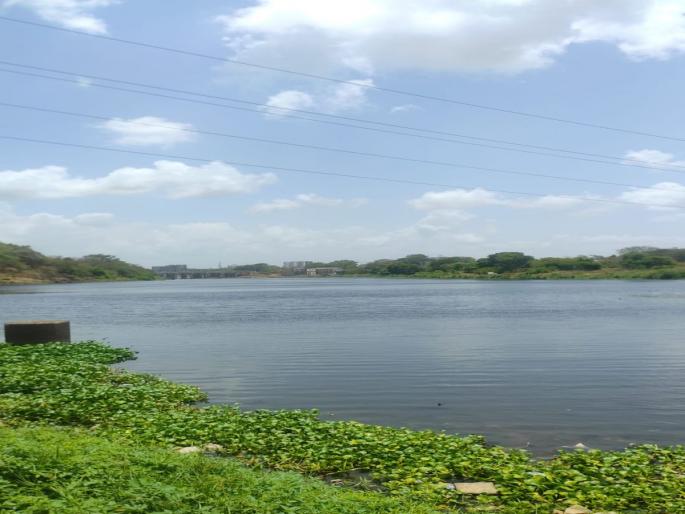 The Ulhas River flowing through Ulhasnagar became Jalparni free a municipal initiative | उल्हासनगरातून वाहणाऱ्या उल्हास नदीचे पात्र झाले जलपर्णी मुक्त, महापालिकेचा उपक्रम The Ulhas River flowing through Ulhasnagar became Jalparni free a municipal initiative | उल्हासनगरातून वाहणाऱ्या उल्हास नदीचे पात्र झाले जलपर्णी मुक्त, महापालिकेचा उपक्रम