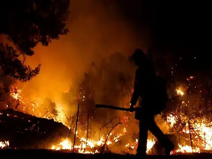 Odisha Simlipal forest fire its really a matter of concern | Odisha Forest Fire: सिमलीपाल जंगलाला भीषण आग, 11 दिवसांपासून जळतंय 'हत्ती' अन् 'वाघां'चं घर Odisha Simlipal forest fire its really a matter of concern | Odisha Forest Fire: सिमलीपाल जंगलाला भीषण आग, 11 दिवसांपासून जळतंय 'हत्ती' अन् 'वाघां'चं घर