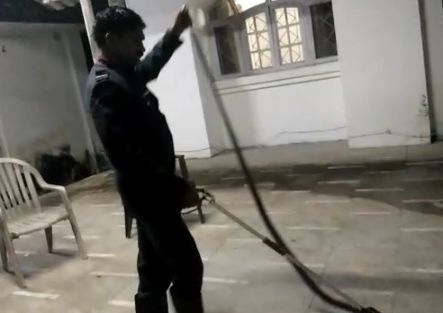 A large snake was found in the bungalow of Bhiwandi Municipal Commissioner | भिवंडी मनपा आयुक्तांच्या बंगल्यात सापडला भला मोठा साप, असा पकडला A large snake was found in the bungalow of Bhiwandi Municipal Commissioner | भिवंडी मनपा आयुक्तांच्या बंगल्यात सापडला भला मोठा साप, असा पकडला
