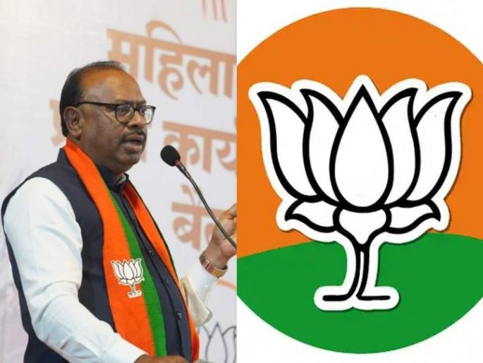 Don't think, do worry, otherwise the grapes will turn sour | ‘चिंतन’ नव्हे, ‘चिंता’ करा, अन्यथा द्राक्षं आंबटच लागतील.. Don't think, do worry, otherwise the grapes will turn sour | ‘चिंतन’ नव्हे, ‘चिंता’ करा, अन्यथा द्राक्षं आंबटच लागतील..