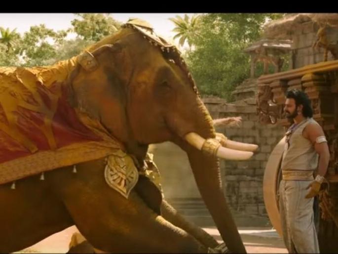 The young man was imitated by this movie of Bahubali | बाहुबलीच्या या सीनचं अनुकरण करणं तरुणाला पडलं महागात The young man was imitated by this movie of Bahubali | बाहुबलीच्या या सीनचं अनुकरण करणं तरुणाला पडलं महागात