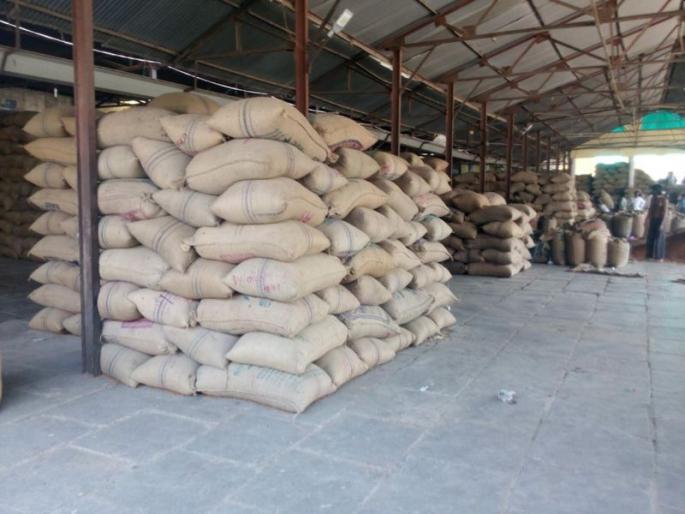 ED arrests Baheti in grain scam | धान्य घोटाळ्यातील बाहेतीला ईडीने केली अटक ED arrests Baheti in grain scam | धान्य घोटाळ्यातील बाहेतीला ईडीने केली अटक