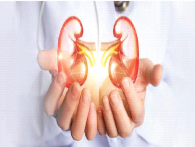 In the state, 5,000 kidneys are waiting, while 1,000 are waiting for liver | राज्यात ५ हजार किडनी, तर १ हजार जण यकृताच्या प्रतीक्षेत; एक देहदान अनेकांसाठी जीवनदान In the state, 5,000 kidneys are waiting, while 1,000 are waiting for liver | राज्यात ५ हजार किडनी, तर १ हजार जण यकृताच्या प्रतीक्षेत; एक देहदान अनेकांसाठी जीवनदान