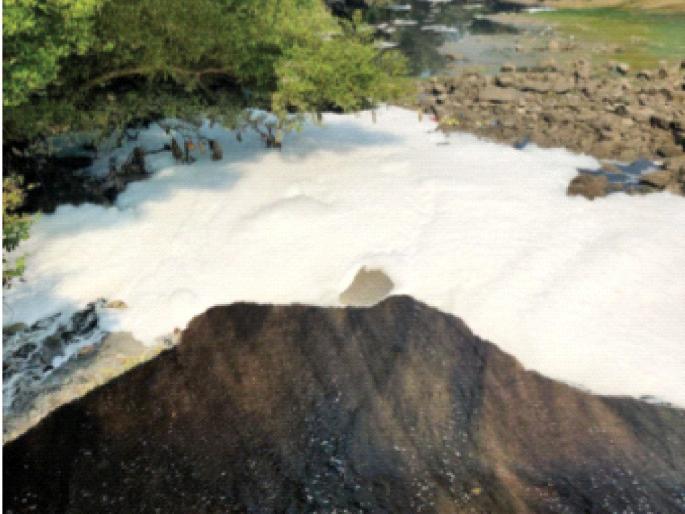 Control of creek pollution by the Board; Fishing is on the verge of extinction | खाड्यांच्या प्रदूषणास नियंत्रण मंडळाचा वरदहस्त; मासेमारी नष्ट होण्याच्या मार्गावर Control of creek pollution by the Board; Fishing is on the verge of extinction | खाड्यांच्या प्रदूषणास नियंत्रण मंडळाचा वरदहस्त; मासेमारी नष्ट होण्याच्या मार्गावर