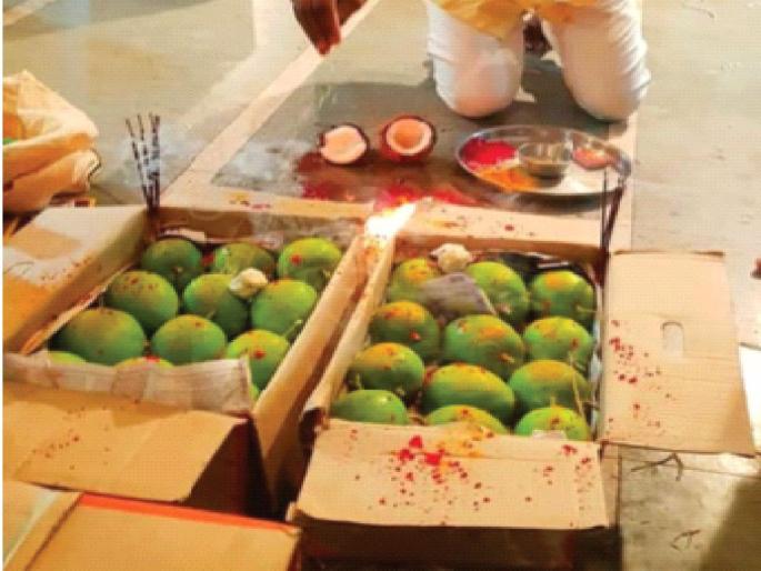 Missed the moment of Makarsankranti; Alibag's hapus was found in Vashi, the first box went to the market | मकरसंक्रांतीचा मुहूर्त चुकला; अलिबागचा हापूस वाशीत पाेहोचला, पहिली पेटी मार्केटमध्ये रवाना   Missed the moment of Makarsankranti; Alibag's hapus was found in Vashi, the first box went to the market | मकरसंक्रांतीचा मुहूर्त चुकला; अलिबागचा हापूस वाशीत पाेहोचला, पहिली पेटी मार्केटमध्ये रवाना