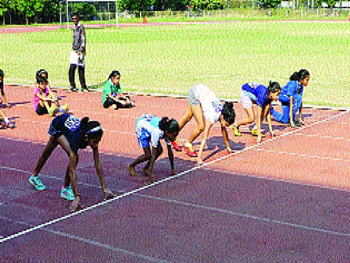 This year's sports day will be celebrated not on the field, but on computer-mobile | National Sports Day: यंदाचा क्रीडादिन मैदानावर नाही, तर कॉम्प्युटर-मोबाइलवर होणार साजरा This year's sports day will be celebrated not on the field, but on computer-mobile | National Sports Day: यंदाचा क्रीडादिन मैदानावर नाही, तर कॉम्प्युटर-मोबाइलवर होणार साजरा