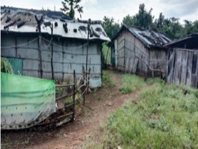 Even after seven years, Sakarmachi is not rehabilitated; Villagers live in garbage sheds | सात वर्षांनंतरही साकरमाचीचे पुनर्वसन नाही; कुडाच्या शेडमध्ये ग्रामस्थांचे वास्तव्य Even after seven years, Sakarmachi is not rehabilitated; Villagers live in garbage sheds | सात वर्षांनंतरही साकरमाचीचे पुनर्वसन नाही; कुडाच्या शेडमध्ये ग्रामस्थांचे वास्तव्य