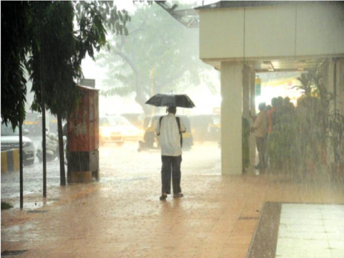 Rain with thunderstorm in Raigad; The paddy crop was hit | रायगडमध्ये विजांच्या कडकडाटासह पाऊस; भातपिकाला बसला फटका Rain with thunderstorm in Raigad; The paddy crop was hit | रायगडमध्ये विजांच्या कडकडाटासह पाऊस; भातपिकाला बसला फटका