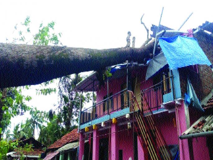 Cyclone Nisarga: God's vision in trouble; Unprecedented work of the administration with the police system | Cyclone Nisarga: संकटात झाले देवाचे दर्शन; पोलीस यंत्रणेसह प्रशासनाचे अभूतपूर्व काम Cyclone Nisarga: God's vision in trouble; Unprecedented work of the administration with the police system | Cyclone Nisarga: संकटात झाले देवाचे दर्शन; पोलीस यंत्रणेसह प्रशासनाचे अभूतपूर्व काम