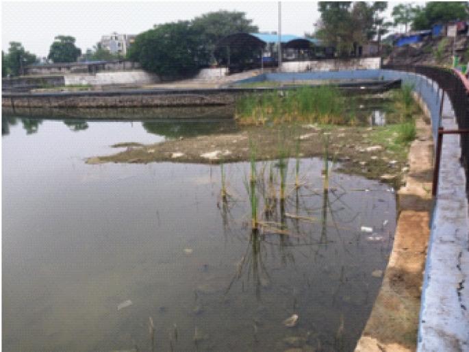 The condition of the frozen pond; Moss climbed on wells in Ghansoli, endangering the health of citizens | गोठीवलीत तलावाची दुरवस्था; घणसोलीत विहिरींवर चढले शेवाळ, नागरिकांचे आरोग्य धोक्यात The condition of the frozen pond; Moss climbed on wells in Ghansoli, endangering the health of citizens | गोठीवलीत तलावाची दुरवस्था; घणसोलीत विहिरींवर चढले शेवाळ, नागरिकांचे आरोग्य धोक्यात