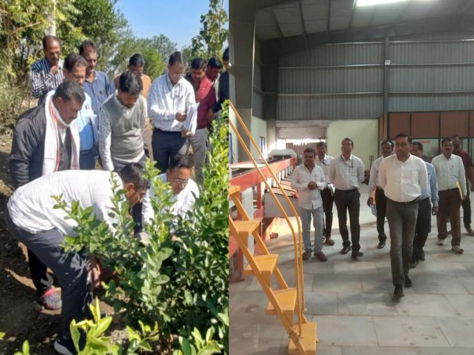 Agricultural Commissioner reprimanded, Agricultural Assistant of Bargaon suspended; Visits to the industry of FPOs including orange processing | कृषी आयुक्तांची फटकार, बारगावचे कृषी सहायक निलंबित; संत्रा प्रक्रियासह एफपीओंच्या उद्योगाला भेटी Agricultural Commissioner reprimanded, Agricultural Assistant of Bargaon suspended; Visits to the industry of FPOs including orange processing | कृषी आयुक्तांची फटकार, बारगावचे कृषी सहायक निलंबित; संत्रा प्रक्रियासह एफपीओंच्या उद्योगाला भेटी