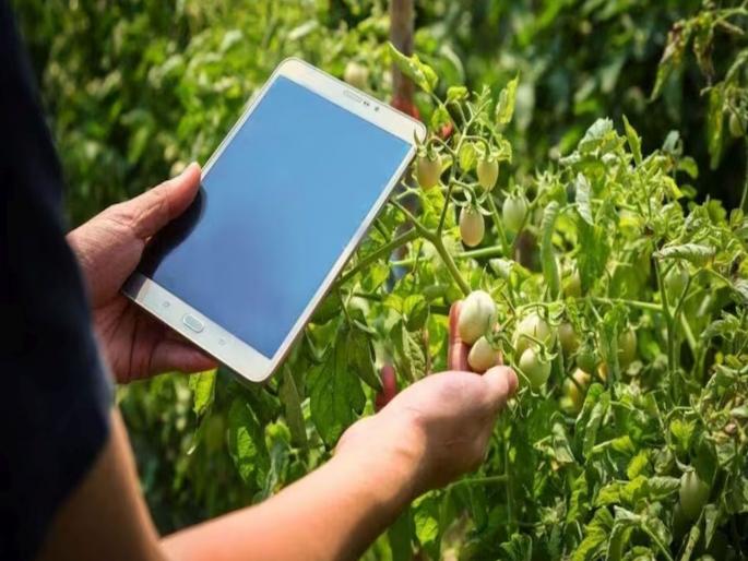 Instead of e-peak inspection, the central government's digital crop survey Implementation in 15 villages of West Vidarbha during Rabi season | ई-पीक पाहणीऐवजी केंद्र शासनाचा डिजिटल क्रॉप सर्व्हे! रब्बी हंगामात पश्चिम विदर्भातील १५ गावांमध्ये अंमलबजावणी Instead of e-peak inspection, the central government's digital crop survey Implementation in 15 villages of West Vidarbha during Rabi season | ई-पीक पाहणीऐवजी केंद्र शासनाचा डिजिटल क्रॉप सर्व्हे! रब्बी हंगामात पश्चिम विदर्भातील १५ गावांमध्ये अंमलबजावणी