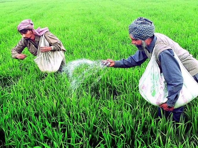 fertilizer subsidy decision and politics and its consequences | खत अनुदानाचे गौडबंगाल; शेतकऱ्यांचे कैवारी असल्याचा केंद्र सरकारचा आव आणतेय fertilizer subsidy decision and politics and its consequences | खत अनुदानाचे गौडबंगाल; शेतकऱ्यांचे कैवारी असल्याचा केंद्र सरकारचा आव आणतेय