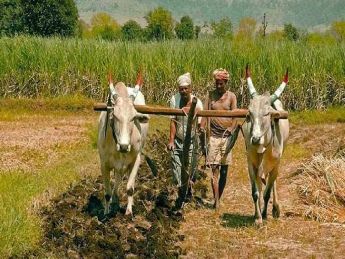 Attitude: Support to Baliraja for gold mortgage scheme during Corona period | दृष्टिकोन: कोरोना काळात सोने तारण योजनेचा बळिराजाला आधार