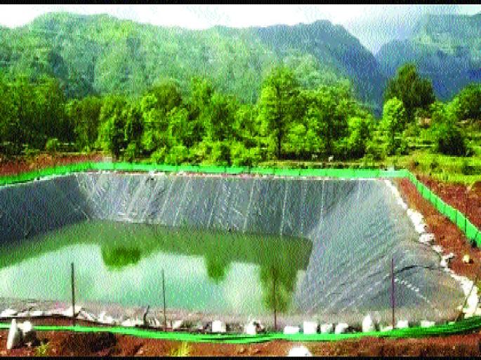 With determination, Chakarmani found the youth waiting for the future; Farms built with untiring efforts | ठाम निर्धाराने चाकरमानी तरुणांना गवसली भविष्याची वाट; अथक प्रयत्नाने साकारले शेततळे