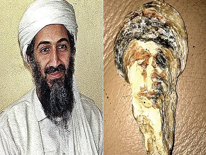 Osama even among the marine mussels! Found while touring | बापरे, समुद्री शिंपल्यांमध्येही ओसामा! फेरफटका मारत असताना आढळला Osama even among the marine mussels! Found while touring | बापरे, समुद्री शिंपल्यांमध्येही ओसामा! फेरफटका मारत असताना आढळला