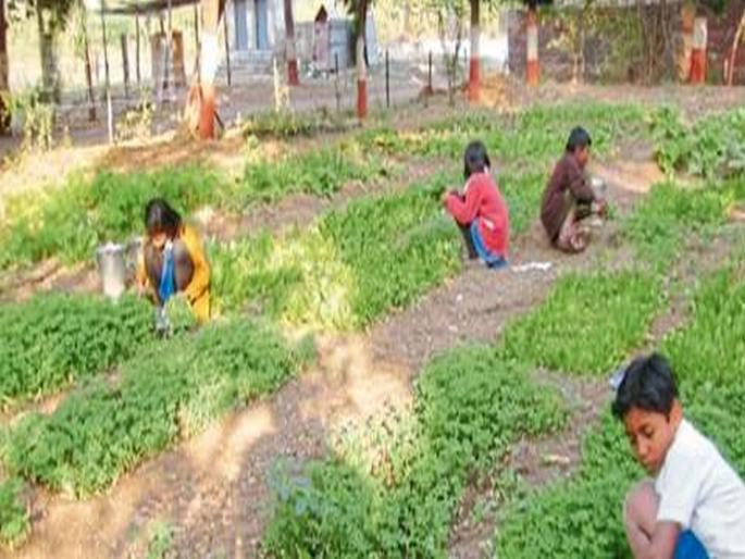 Primary schools have to grow vegetables; Headmaster confused | प्राथमिक शाळांना पिकवावा लागणार भाजीपाला; मुख्याध्यापक संभ्रमात