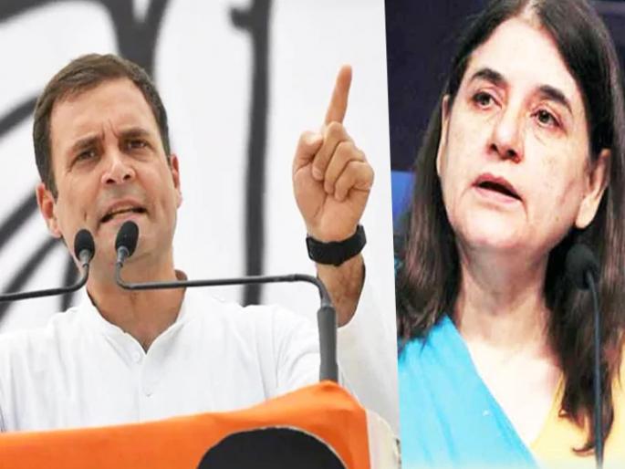 Kerala Pregnant Elephant Death: why didn't Rahul Gandhi take action ? Says by Maneka Gandhi | Kerala Pregnant Elephant Death: राहुल गांधींनी कारवाई का केली नाही?; केरळमधील हत्तीणीच्या मृत्यूनंतर मेनका गांधी संतापल्या Kerala Pregnant Elephant Death: why didn't Rahul Gandhi take action ? Says by Maneka Gandhi | Kerala Pregnant Elephant Death: राहुल गांधींनी कारवाई का केली नाही?; केरळमधील हत्तीणीच्या मृत्यूनंतर मेनका गांधी संतापल्या