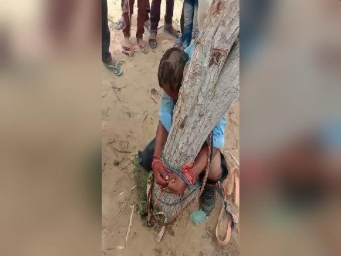 Barmer tied young man with tree and wreaked havoc on him and drink urine | क्रूरता! युवकाला झाडाला बांधून अमानुष मारहाण करत मूत्र पाजले; संतापजनक व्हिडीओ व्हायरल Barmer tied young man with tree and wreaked havoc on him and drink urine | क्रूरता! युवकाला झाडाला बांधून अमानुष मारहाण करत मूत्र पाजले; संतापजनक व्हिडीओ व्हायरल