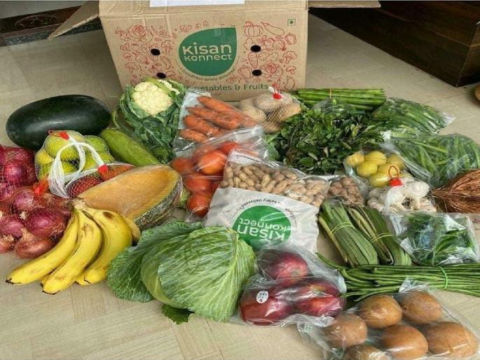 Experimental farmers open 'online vegetable market' to sell customer directly | २४ तासांत शेतातल्या फळभाज्या थेट ग्राहकांच्या घरी; प्रयोगशील शेतकऱ्यांनी उघडली 'ऑनलाईन मंडई' Experimental farmers open 'online vegetable market' to sell customer directly | २४ तासांत शेतातल्या फळभाज्या थेट ग्राहकांच्या घरी; प्रयोगशील शेतकऱ्यांनी उघडली 'ऑनलाईन मंडई'