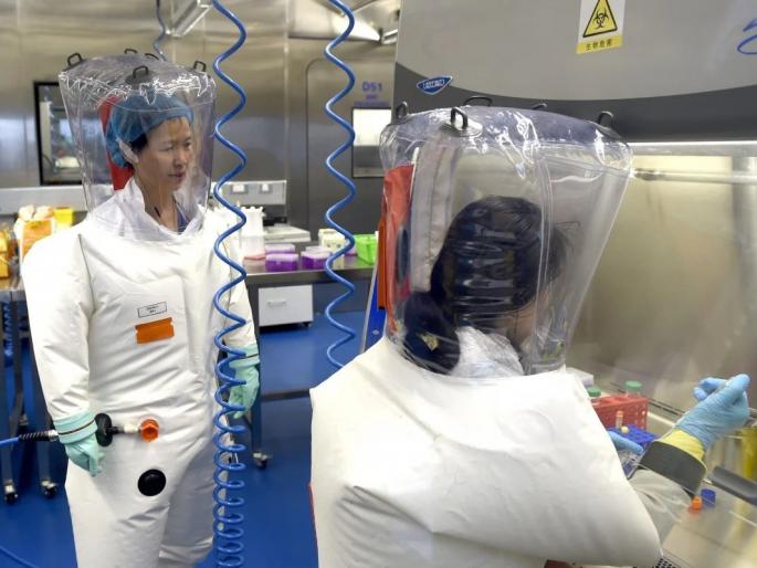 Coronavirus: Coronavirus Results Of Crazy Experiment By Chinese Scientists In Wuhan Lab Says Russian Microbiologist pnm | Coronavirus: ‘कोरोना व्हायरस हा चिनी वैज्ञानिकांच्या ‘वेडेपणाचा प्रयोग’; संपूर्ण चौकशी होणं गरजेचे’ Coronavirus: Coronavirus Results Of Crazy Experiment By Chinese Scientists In Wuhan Lab Says Russian Microbiologist pnm | Coronavirus: ‘कोरोना व्हायरस हा चिनी वैज्ञानिकांच्या ‘वेडेपणाचा प्रयोग’; संपूर्ण चौकशी होणं गरजेचे’