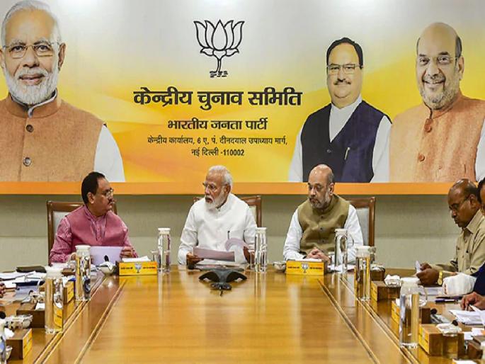 How many people from Maharashtra are in the national executive of BJP ?; Who got which post? Read | भाजपाच्या राष्ट्रीय कार्यकारिणीत महाराष्ट्रातील किती जण?; कोणाला मिळालं कोणतं पद?... वाचा