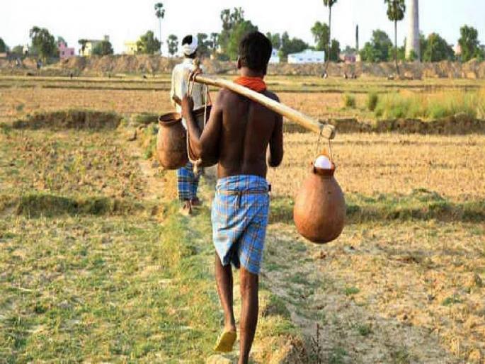 Will the toddy business go down in history ?; Obsessive conditions in the government license distribution process | ताडी व्यवसाय इतिहासजमा होणार?; शासकीय परवाना वितरण प्रक्रियेत जाचक अटी  Will the toddy business go down in history ?; Obsessive conditions in the government license distribution process | ताडी व्यवसाय इतिहासजमा होणार?; शासकीय परवाना वितरण प्रक्रियेत जाचक अटी