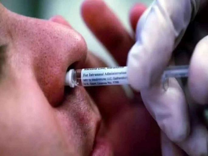 Seniors will get a booster of corona vaccine again The health system will have to receive the 'Incovac' vaccine and take the vaccine | ज्येष्ठांना पुन्हा मिळणार कोविड लसीचा बूस्टर! आरोग्य यंत्रणेला ‘इन्कोव्हॅक’ लस प्राप्त, नाकावाटे घ्यावी लागणार Seniors will get a booster of corona vaccine again The health system will have to receive the 'Incovac' vaccine and take the vaccine | ज्येष्ठांना पुन्हा मिळणार कोविड लसीचा बूस्टर! आरोग्य यंत्रणेला ‘इन्कोव्हॅक’ लस प्राप्त, नाकावाटे घ्यावी लागणार