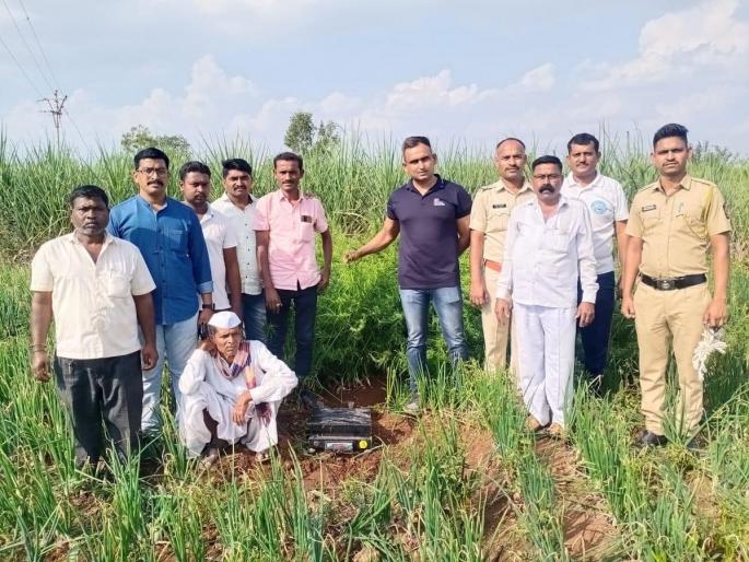 cannabis worth 14 lakh seized in Girgaon, police action, accused arrested | गिरगाव येथे १४ लाखाचा गांजा पकडला, उमदी पोलिसांची कारवाई, आरोपीला अटक cannabis worth 14 lakh seized in Girgaon, police action, accused arrested | गिरगाव येथे १४ लाखाचा गांजा पकडला, उमदी पोलिसांची कारवाई, आरोपीला अटक