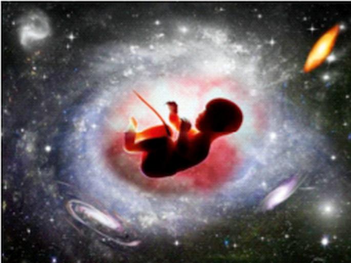 Now children can be born in space Human embryos will be created through IVF treatment | आता अंतराळातही जन्माला घालता येणार मुले! आयव्हीएफ उपचारांद्वारे मानवी भ्रूण तयार केले जाणार Now children can be born in space Human embryos will be created through IVF treatment | आता अंतराळातही जन्माला घालता येणार मुले! आयव्हीएफ उपचारांद्वारे मानवी भ्रूण तयार केले जाणार