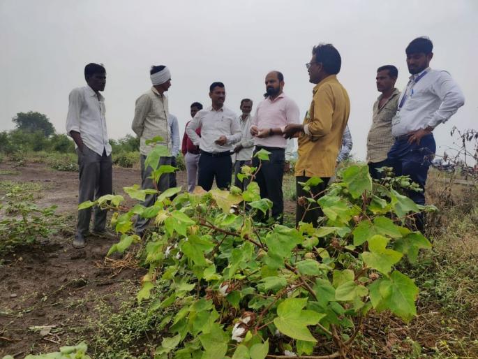 unseasonal rain issue Collector reaches the fild; Instructions to complete Panchnama immediately | ‘अवकाळी’चा तडाखा : जिल्हाधिकारी पोहोचले बांधावर; पंचनामे तातडीने पूर्ण करण्याचे निर्देश! unseasonal rain issue Collector reaches the fild; Instructions to complete Panchnama immediately | ‘अवकाळी’चा तडाखा : जिल्हाधिकारी पोहोचले बांधावर; पंचनामे तातडीने पूर्ण करण्याचे निर्देश!