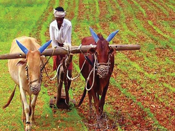 Farmers will get help up to three hectares; Open the way to get money, circular issued by the government | शेतकऱ्यांना मिळणार तीन हेक्टरपर्यंत मदत; पैसे मिळण्याचा मार्ग मोकळा, सरकारकडून परिपत्रक जारी Farmers will get help up to three hectares; Open the way to get money, circular issued by the government | शेतकऱ्यांना मिळणार तीन हेक्टरपर्यंत मदत; पैसे मिळण्याचा मार्ग मोकळा, सरकारकडून परिपत्रक जारी