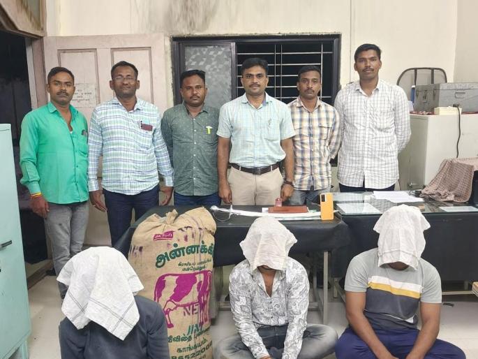 A betel nut gang was caught from a running truck Action by local crime branch | धावत्या ट्रकमधून सुपारी लुटणारी टोळी पकडली, अशी करायचे चोरी; स्थानिक गुन्हे शाखेची कारवाई A betel nut gang was caught from a running truck Action by local crime branch | धावत्या ट्रकमधून सुपारी लुटणारी टोळी पकडली, अशी करायचे चोरी; स्थानिक गुन्हे शाखेची कारवाई