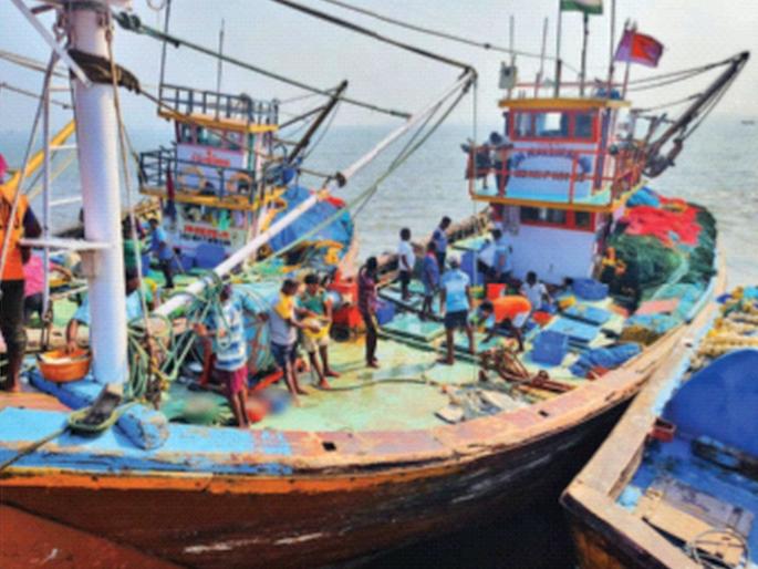 Use of sodium meta bisulfide to preserve fish; Fear among fishermen after the death of two sailors | मासे टिकविण्यासाठी सोडियम मेटा बाय सल्फाईडचा वापर; दोन खलाशांच्या मृत्यूनंतर मच्छीमारांत भीतीचे वातावरण Use of sodium meta bisulfide to preserve fish; Fear among fishermen after the death of two sailors | मासे टिकविण्यासाठी सोडियम मेटा बाय सल्फाईडचा वापर; दोन खलाशांच्या मृत्यूनंतर मच्छीमारांत भीतीचे वातावरण