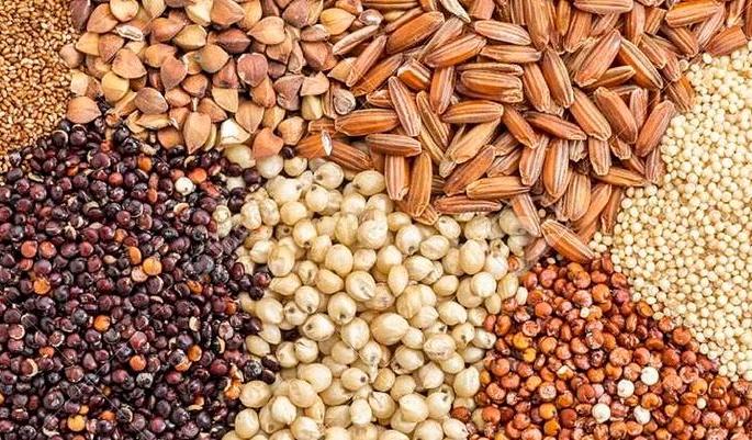 96th A.B.H. Marathi Literature Conference; Cereal products will be available at 30 stalls | ९६ वे अ.भा. मराठी साहित्य संमेलन; ३० स्टॉल्सवर मिळणार तृणधान्याचे पदार्थ 96th A.B.H. Marathi Literature Conference; Cereal products will be available at 30 stalls | ९६ वे अ.भा. मराठी साहित्य संमेलन; ३० स्टॉल्सवर मिळणार तृणधान्याचे पदार्थ