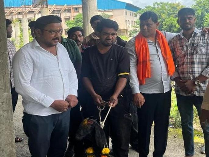 Former corporator sacrificed a buck to complete the stalled work of the stadium in Nashak!! | नाशकात स्टेडियमचे रखडलेले काम पूर्ण करण्यासाठी माजी नगरसेवकानं दिला बोकडाचा बळी!! Former corporator sacrificed a buck to complete the stalled work of the stadium in Nashak!! | नाशकात स्टेडियमचे रखडलेले काम पूर्ण करण्यासाठी माजी नगरसेवकानं दिला बोकडाचा बळी!!