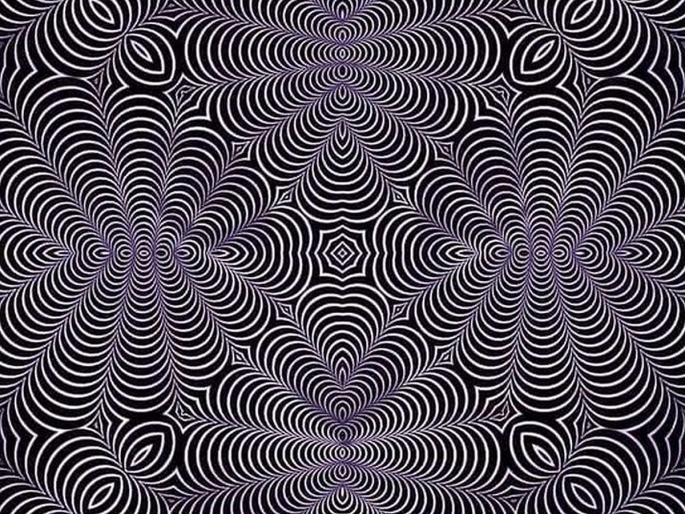 Optical Illusion Picture, Find the animal seen in the picture 99 percent people failed | या फोटोत लपलेला प्राणी शोधताना होईल डोक्याचा भुगा! 99 टक्के लोक फेल; बघा तुम्हाला जमतय का?