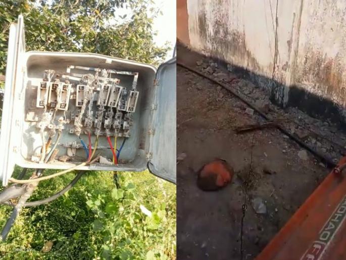 Live electrical wires snapped and fell on the body, one dead | जीवंत विद्युत तारा तुटून अंगावर पडल्या, इसमाचा मृत्यू  Live electrical wires snapped and fell on the body, one dead | जीवंत विद्युत तारा तुटून अंगावर पडल्या, इसमाचा मृत्यू