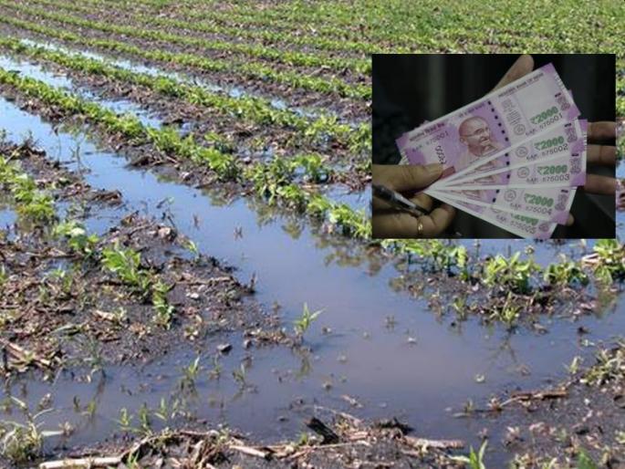 1.76 crore distributed to the affected farmers in Washim district; Amount being deposited in the account | वाशिम जिल्ह्यातील नुकसानग्रस्त शेतकऱ्यांना १.७६ कोटींचे वितरण; खात्यात जमा होतेय रक्कम 1.76 crore distributed to the affected farmers in Washim district; Amount being deposited in the account | वाशिम जिल्ह्यातील नुकसानग्रस्त शेतकऱ्यांना १.७६ कोटींचे वितरण; खात्यात जमा होतेय रक्कम