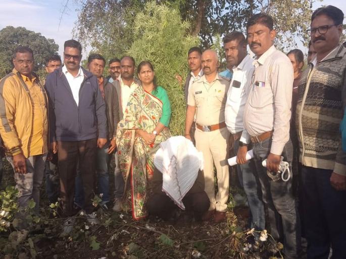Ganja worth lakhs seized at Lapali in Motala taluka, state excise action | मोताळा तालुक्यातील लपाली येथे लाखाेंचा गांजा पकडला, राज्य उत्पादन शुल्कची कारवाई Ganja worth lakhs seized at Lapali in Motala taluka, state excise action | मोताळा तालुक्यातील लपाली येथे लाखाेंचा गांजा पकडला, राज्य उत्पादन शुल्कची कारवाई