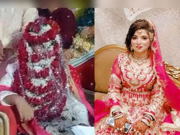 After Seema-Anju, Jodhpur lawyer's online nikah with Karachi woman | सीमा-अंजूनंतर आता जोधपूरचा वकील, कराचीतील महिलेसोबत केला ऑनलाइन निकाह After Seema-Anju, Jodhpur lawyer's online nikah with Karachi woman | सीमा-अंजूनंतर आता जोधपूरचा वकील, कराचीतील महिलेसोबत केला ऑनलाइन निकाह