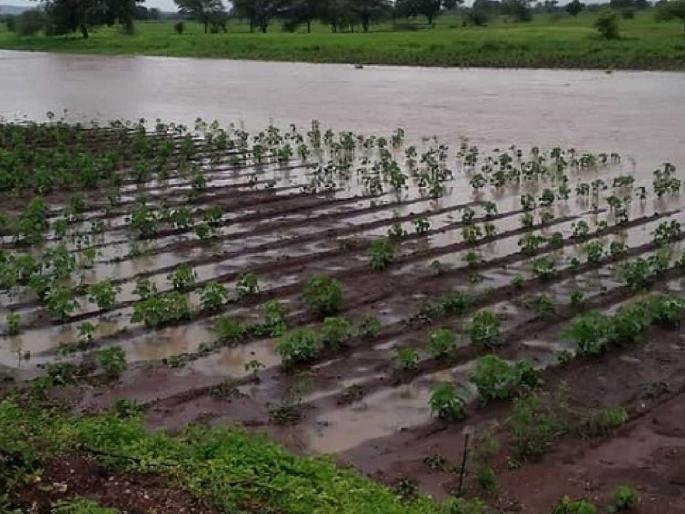 Disruption of heavy rains! Damage in all districts except Latur and Osmanabad in Marathwada | अतिवृष्टीचे विघ्न! मराठवाड्यात लातूर, उस्मानाबाद वगळता सर्व जिल्ह्यांत नुकसान Disruption of heavy rains! Damage in all districts except Latur and Osmanabad in Marathwada | अतिवृष्टीचे विघ्न! मराठवाड्यात लातूर, उस्मानाबाद वगळता सर्व जिल्ह्यांत नुकसान