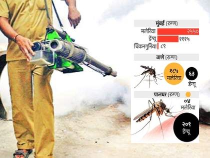 Mumbai tops in mosquito-borne diseases; Information from the Department of Health; Most cases of malaria and dengue | डासांपासूनच्या आजारांत मुंबई टॉपवर; आरोग्य विभागाची माहिती; मलेरिया आणि डेंग्यूचे सर्वाधिक रुग्ण Mumbai tops in mosquito-borne diseases; Information from the Department of Health; Most cases of malaria and dengue | डासांपासूनच्या आजारांत मुंबई टॉपवर; आरोग्य विभागाची माहिती; मलेरिया आणि डेंग्यूचे सर्वाधिक रुग्ण